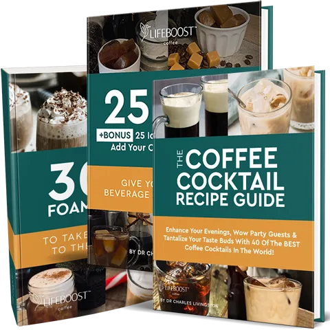 25 Coffee Ice Cube Recipes, 30 Cold And Hot Foam Toppers and 40 Coffee Cocktail Recipes - Digital Recipe Books